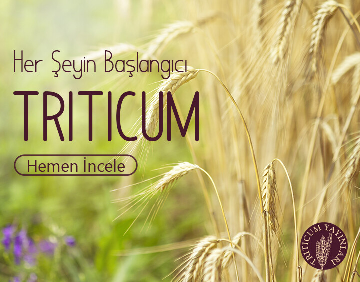 Her şeyin Başlangıcı