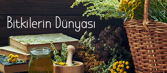 Bitkilerin Dünyası